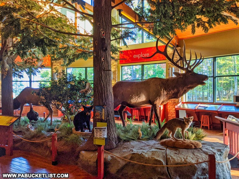 12 Must See Attractions In Elk County