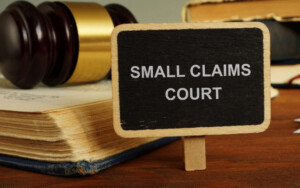 A Quick Guide To The Small Claims Court In South Africa SchoemanLaw Inc