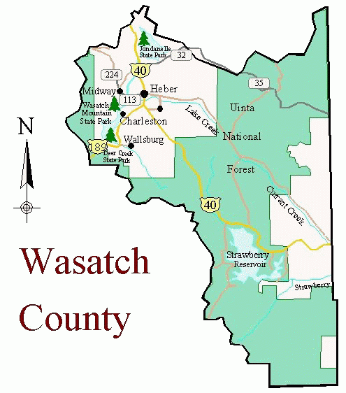 Birding In Wasatch County Utah