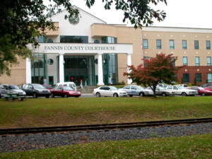 Fannin County Northwest Georgia Regional Commission