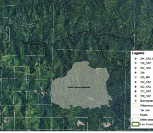 Geographic Information System GIS Linn County Oregon