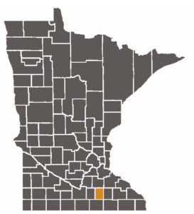 Minnesota Judicial Branch Steele County District Court