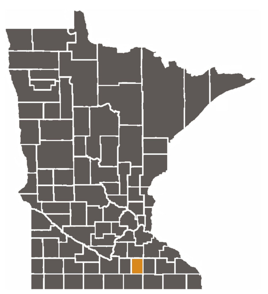 Minnesota Judicial Branch Steele County District Court