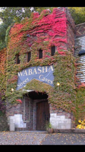 Wabasha Court Calendar Prntbl concejomunicipaldechinu gov co