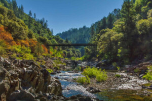 Yuba Superior Court Yuba County Court Directory Flock Of Legals